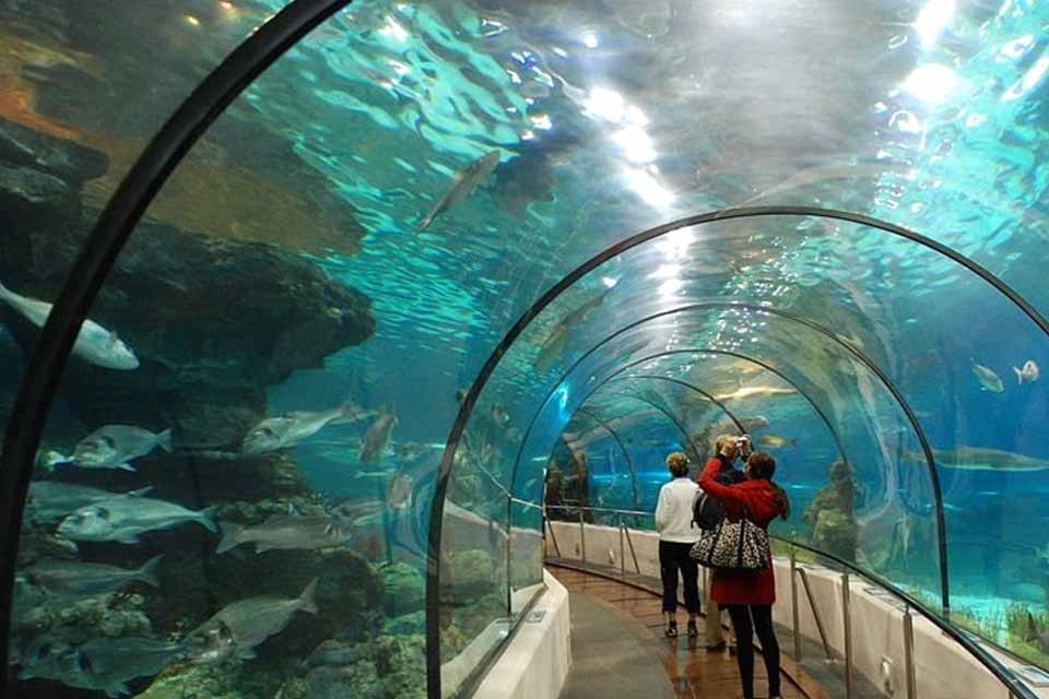 نمایی از ناوگان دریایی و قایق های مسافری قشم