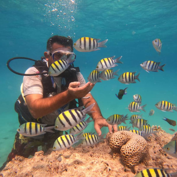 فلای بورد و تفریحات ماجراجویانه در قشم