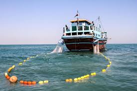 زمان آغاز فصل صید میگو در قشم