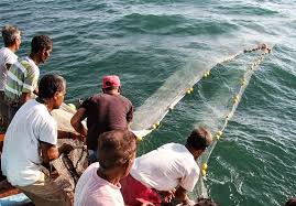 بازارهای محلی و فروش میگو در قشم