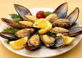 صدف تازه براي طبخ غذای صدف در قشم