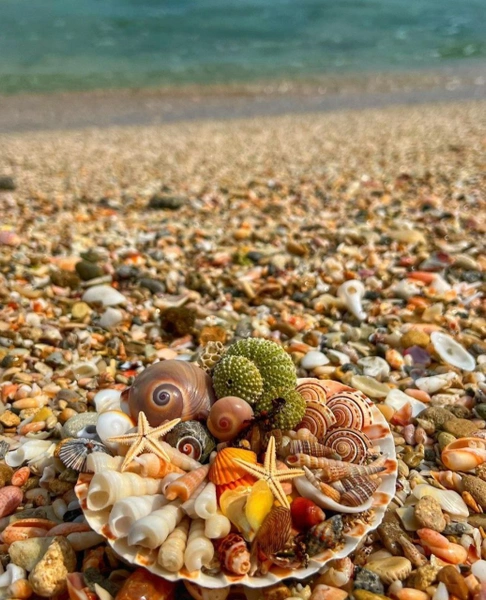 هتل های قشم با تخفیف نوروزی