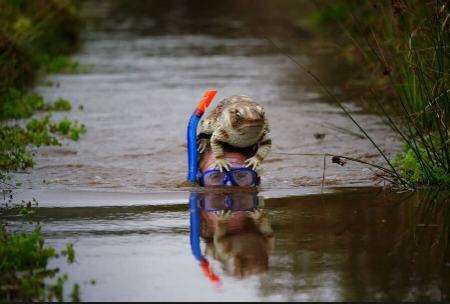 قایق حامل غواصان در قشم