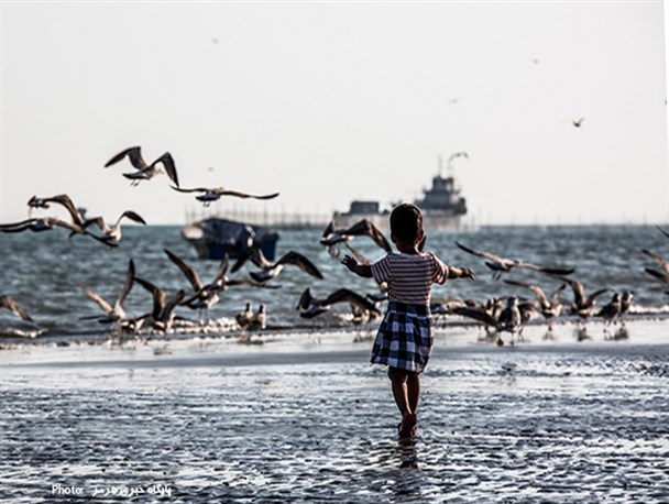 اقامت ارزان در قشم با رزرو آنلاین و تخفیف