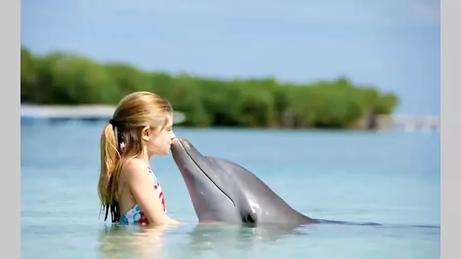 تورهای دریایی قشم و بازديد از جزيره هنگام و هرمز