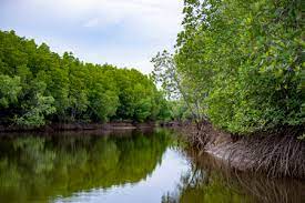 مزایای سفر با ماشین شخصی به قشم