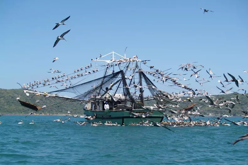 رقص و موسیقی محلی در نوروز صیادی