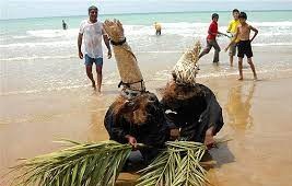 حضور گردشگران در نوروز صیادی قشم