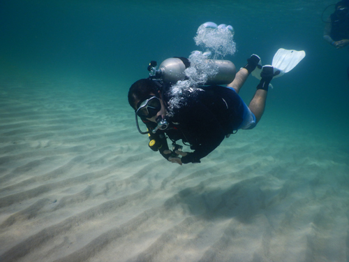 هزینه غواصی در قشم