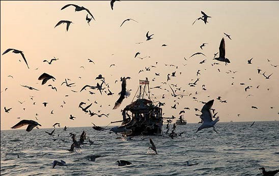 نمایی از جزیره قشم در سفر قشم