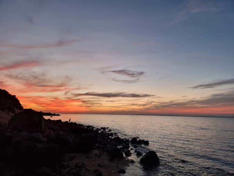 جزیره لارک تاریخچه و طبیعتی بکر در خلیج فارس