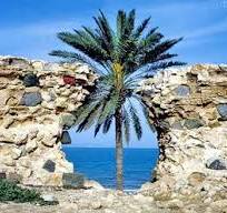 فاصله استان کردستان تا قشم