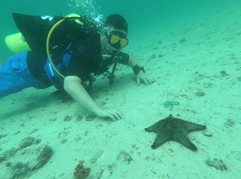 سایت غواصی عجایب آبی قشم با آب شفاف و مرجان های زنده