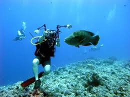 رعايت نکات ايمني و استفاده از تجهيزات استاندارد