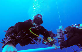 تنوع زیستی سایت غواصی عجایب آبی قشم