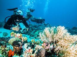 نکات ایمنی غواصی در سایت پرشین گلف