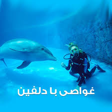 گواهینامه بین المللی غواصی مدرسه غواصی قشم