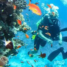 موقعيت سایت غواصی تخت جمشید قشم