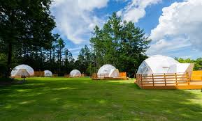 نزدیکی به سواحل