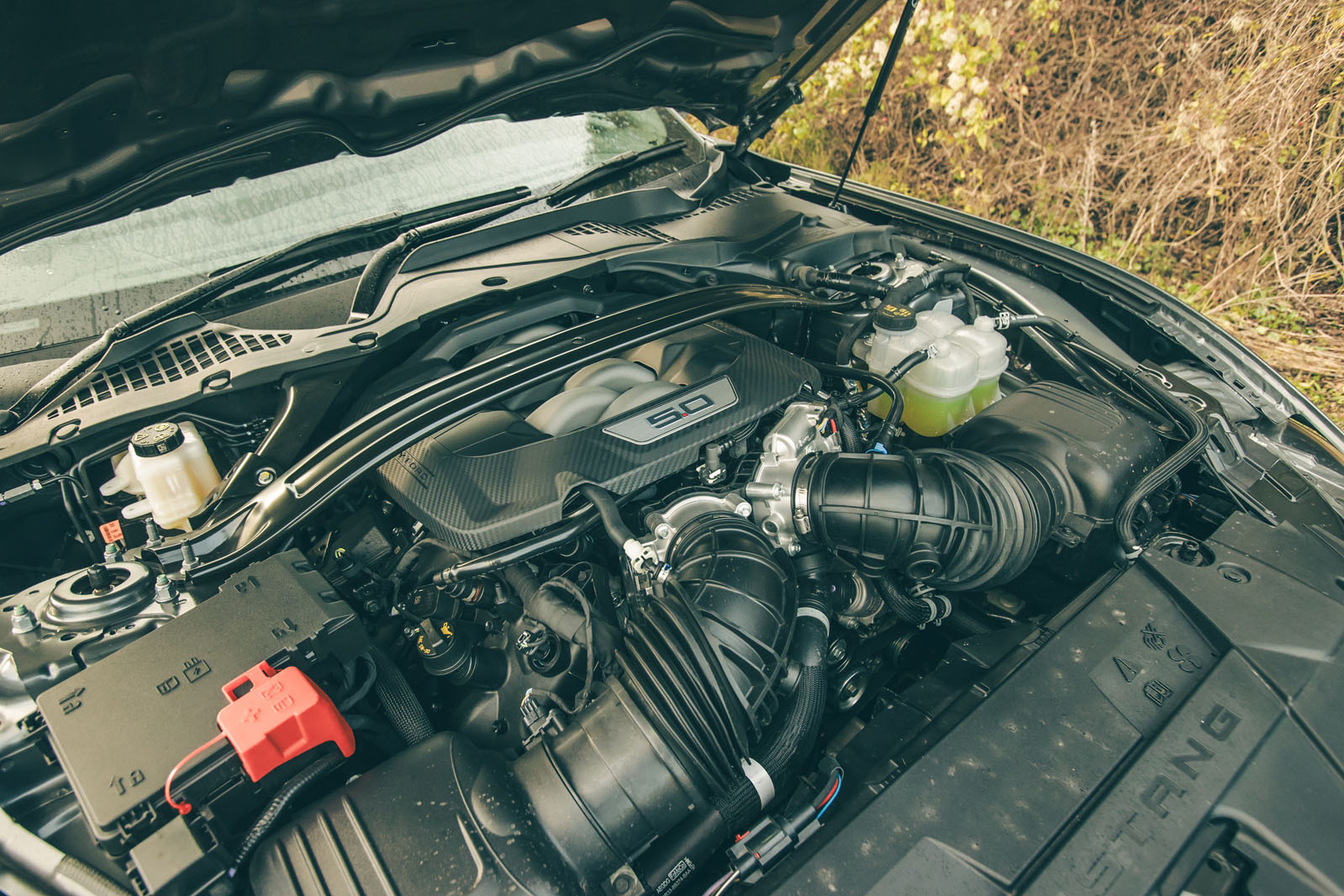 فورد موستانگ 2025 در پیست با تمرکز بر عملکرد