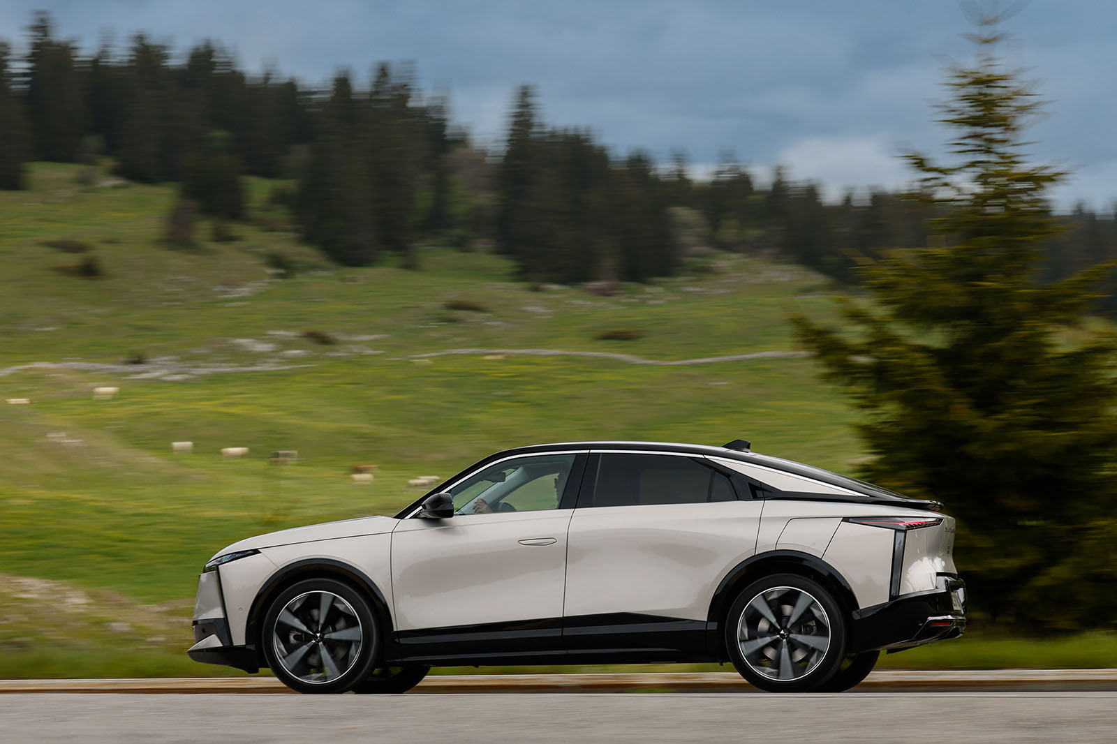 نمای جانبی پانینگ DS No8