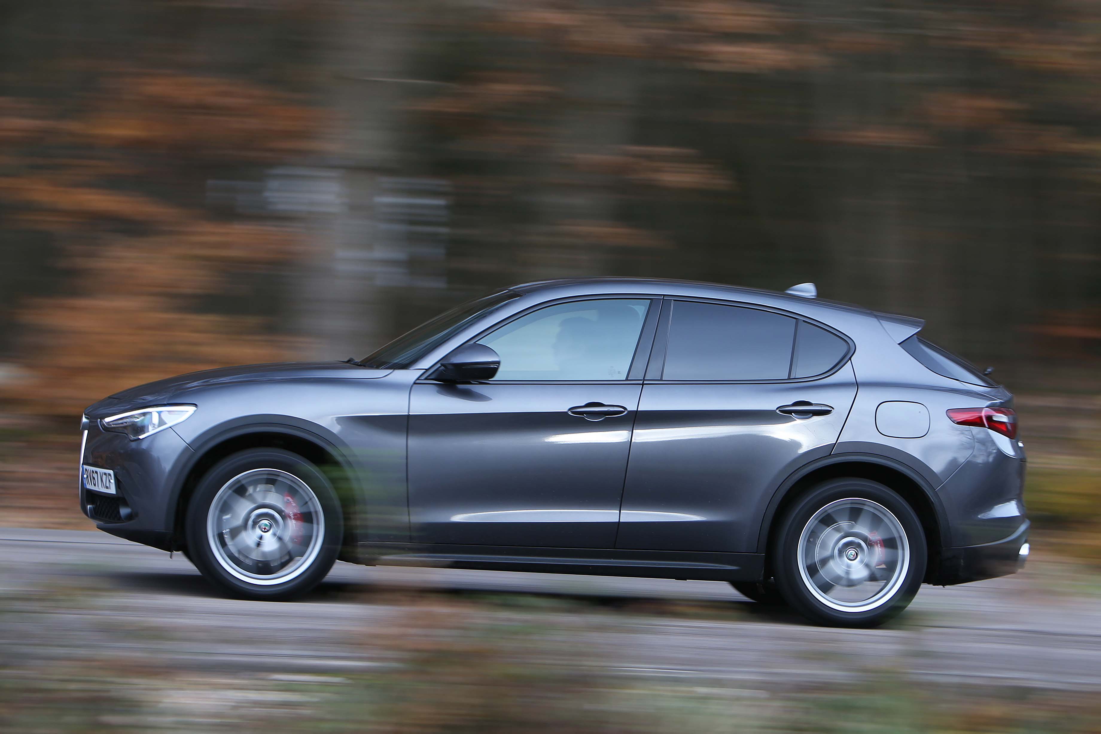 استلویو در جاده کوهستانی