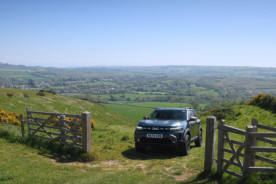 داچیا داستر در میان بوته ها و جاده خاکی