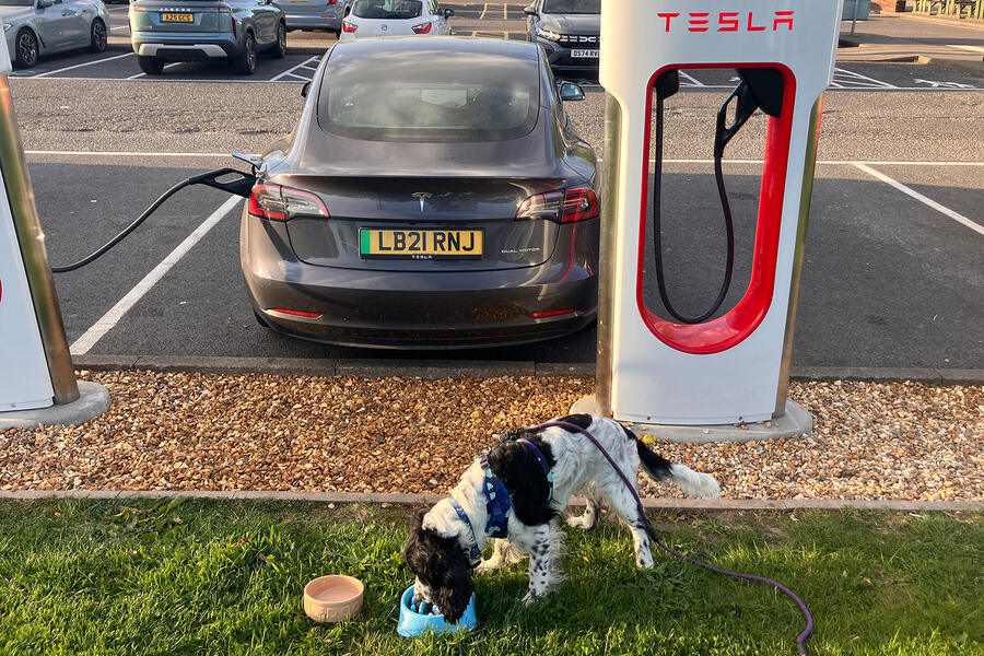 شارژ تسلا مدل 3 در سفر