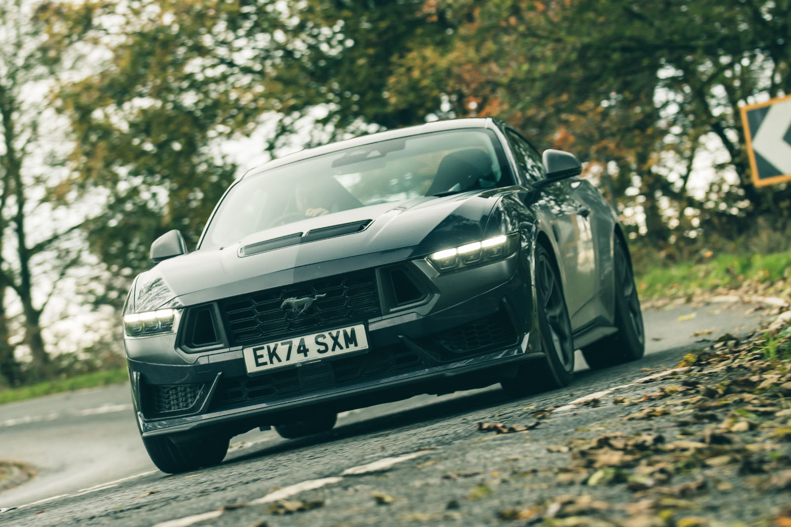 هزینه‌های نگهداری و مصرف سوخت موستانگ دارک هورس