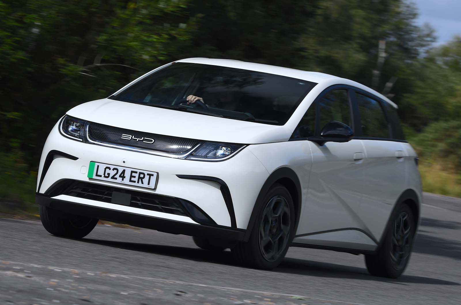 تصویر اصلی بی وای دی دلفین 2024